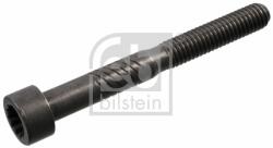 Febi Bilstein Csavar, himbatengely FEBI BILSTEIN 100729 (100729)