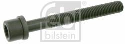 Febi Bilstein hengerfejcsavar FEBI BILSTEIN 06666 (06666)
