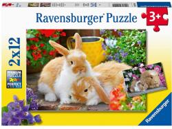 Ravensburger Puzzle Ravensburger - Porcusor de guinea si iepuras, 2x12 piese (4005556051441)