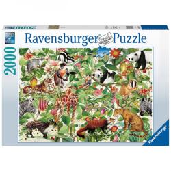 Ravensburger Puzzle Ravensburger - Jungla, 2000 piese (4005556168248)