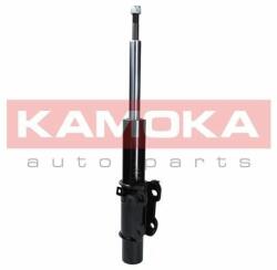 KAMOKA Kam-2000043