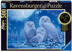 Ravensburger Puzzle Ravensburger Glow in the dark - Bufnite, 500 piese (4005556165957)