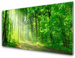 tulup. hu Modern üvegkép Forest sáv fák természet 120x60cm 2 fogas