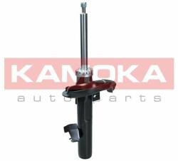 KAMOKA Kam-2000331