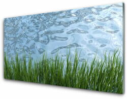 tulup. hu Konyhai fali panel Víz grass nature 140x70 cm