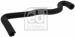 Febi Bilstein cső, forgattyúsház szellőztetés FEBI BILSTEIN 45531 (45531)