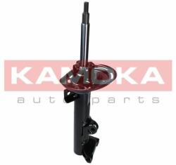 KAMOKA Kam-2000071