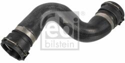 Febi Bilstein hűtőcső FEBI BILSTEIN 171107 (171107)