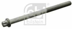 Febi Bilstein hengerfejcsavar FEBI BILSTEIN 10794 (10794)