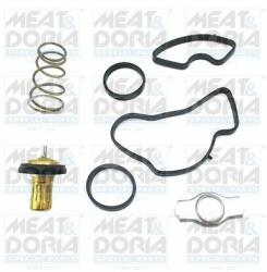 Meat & Doria termosztát, hűtőfolyadék MEAT & DORIA 92871