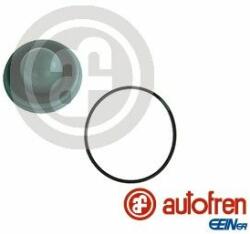 Autofren Seinsa javítókészlet, főfékhenger AUTOFREN SEINSA D1286 (D1286)
