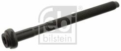 Febi Bilstein hengerfejcsavar FEBI BILSTEIN 15696 (15696)