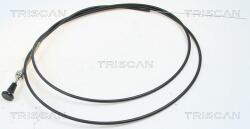 TRISCAN szivató csappantyú, porlasztó TRISCAN 8140 91003