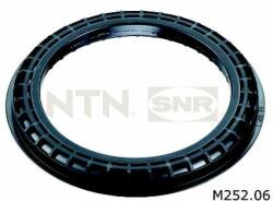 SNR Snr-m252.06 (m252.06)