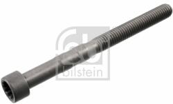 Febi Bilstein Csavar, himbatengely FEBI BILSTEIN 100726 (100726)