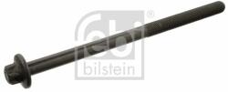 Febi Bilstein hengerfejcsavar FEBI BILSTEIN 39779 (39779)
