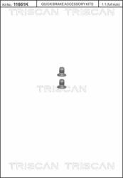 TRISCAN Csavarkészlet, féktárcsa TRISCAN 8105 116002