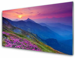 tulup. hu Konyhai hátfal panel Mountain meadow virág tájkép 120x60 cm