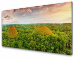 tulup. hu Konyhai falvédő panel Jungle-erdő természetvédelmi 140x70 cm