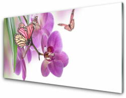  tulup. hu Fali üvegkép Pillangók virágok természet 100x50 cm 2 fogas