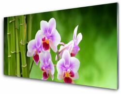 tulup. hu Üvegkép falra Bamboo Orchid Virág Zen 140x70 cm 4 fogas