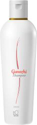 DXN Ganozhi Sampon