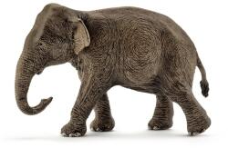 Schleich Elefant Asiatic, Femela (SL14753)