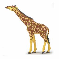 Papo Girafa Cu Cap Ridicat Figurina