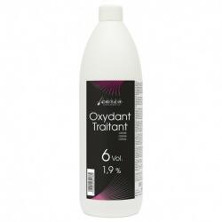 Carin Haircosmetics Oxydant Traitant 06vol 1, 9% 950ml