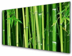  tulup. hu Akril üveg kép Bamboo Bamboo Forest Nature 125x50 cm 2 fogas