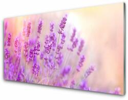 tulup. hu Konyhai hátfal panel Lavender field of sun flowers 140x70 cm