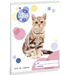 Ars Una Ars Una: Cuki állatok - Amerikai rövidszőrű macska 3. osztályos vonalas füzet 32 lapos A/5 - innotechshop