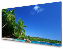 tulup. hu Akrilüveg fotó Palm Trees Beach Landscape 120x60 cm 2 fogas