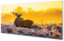 tulup. hu Üvegképek Deer téli napkelte 140x70 cm 2 fogas
