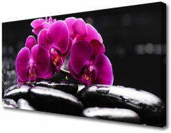 tulup. hu Vászonkép nyomtatás Zen kövek Orchid Spa 120x60 cm