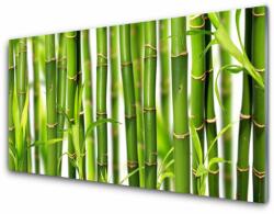 tulup. hu Akrilüveg fotó Bambuszrügy bambusz levelek 140x70 cm 2 fogas