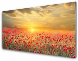tulup. hu Akrilkép Sun Meadow Poppy Flowers 100x50 cm 4 fogas