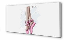 tulup. hu Canvas képek rózsaszín balettcipő 140x70 cm