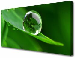 tulup. hu Vászonkép Plant Leaf Water Drops 125x50 cm