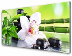  tulup. hu Akrilkép Orchid bambusz levelek 100x50 cm 4 fogas