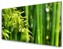  tulup. hu Akril üveg kép Bambusz levelek Plant 125x50 cm 4 fogas