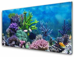 tulup. hu Akril üveg kép Akváriumi halak a víz alatt 120x60 cm 2 fogas