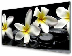 tulup. hu Konyhai falburkoló panel Szép virág plumeria 100x50 cm