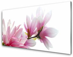 tulup. hu Konyhai hátfal panel Magnolia flower 100x50 cm