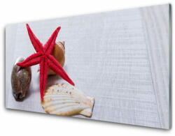  tulup. hu Akrilüveg fotó Starfish Shells Art 125x50 cm 4 fogas