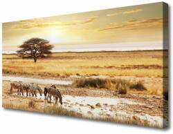 tulup. hu Vászonkép nyomtatás Zebra Safari Landscape 100x50 cm