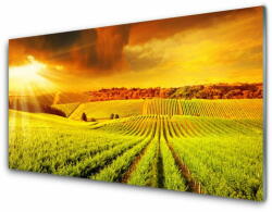 tulup. hu Akrilkép Field Sunset Landscape 125x50 cm 2 fogas