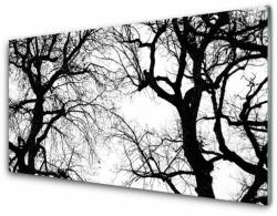 tulup. hu Konyhai panel Fák természet fekete-fehér 140x70 cm