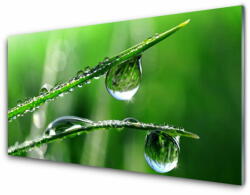tulup. hu Akril üveg kép Grass Dew Drops 120x60 cm 2 fogas