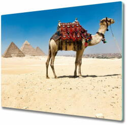 tulup. hu Üveg vágódeszka Camel Kairóban 2x30x52 cm - mall - 15 900 Ft